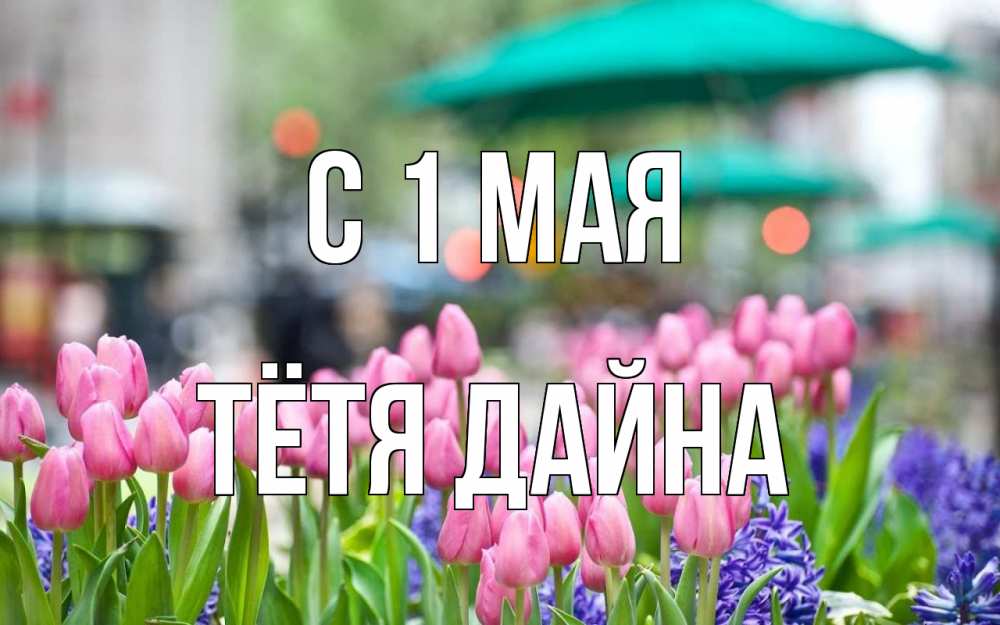 Открытка на каждый день с именем, Тётя-Дайна С 1 мая С 1 мая Прикольная открытка с пожеланием онлайн скачать бесплатно 