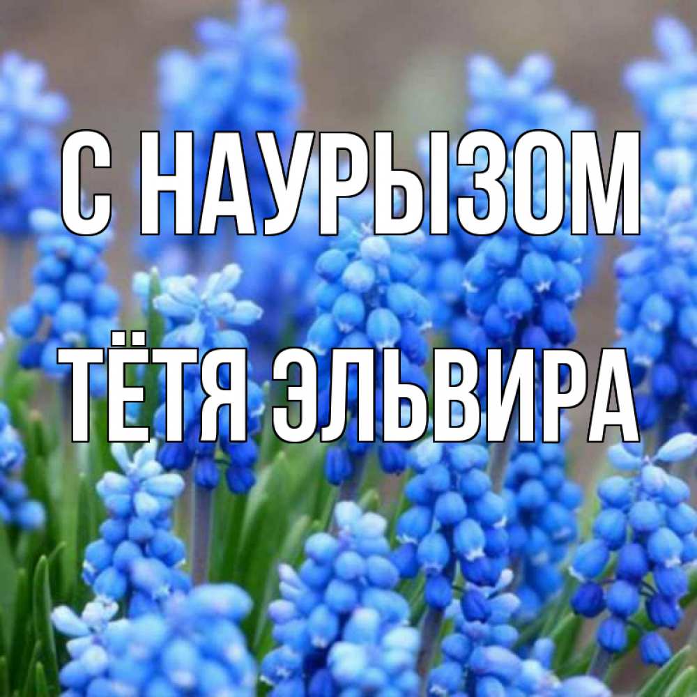 Открытка на каждый день с именем, Тётя-Эльвира С наурызом Поздравительная открытка для женщин с цветами на праздничную дату Прикольная открытка с пожеланием онлайн скачать бесплатно 