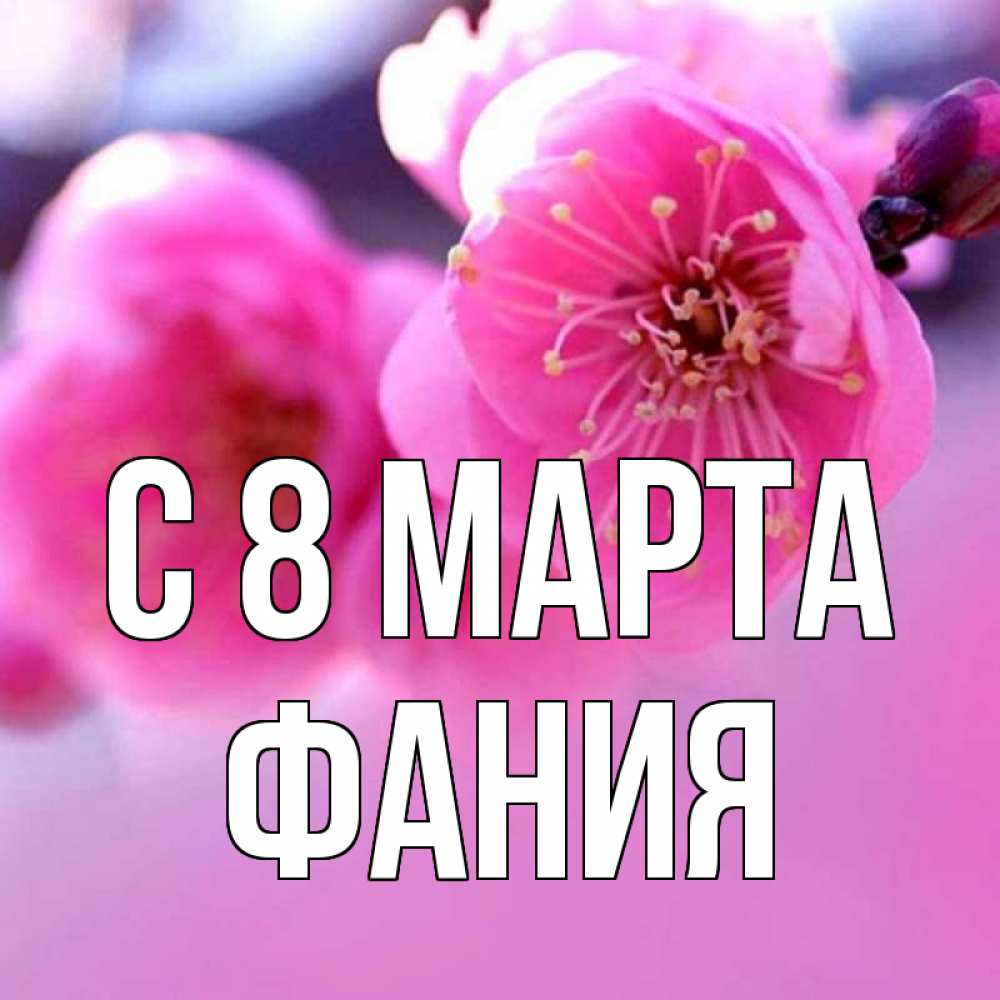 Открытка на каждый день с именем, Фания С 8 МАРТА международный женский день Прикольная открытка с пожеланием онлайн скачать бесплатно 