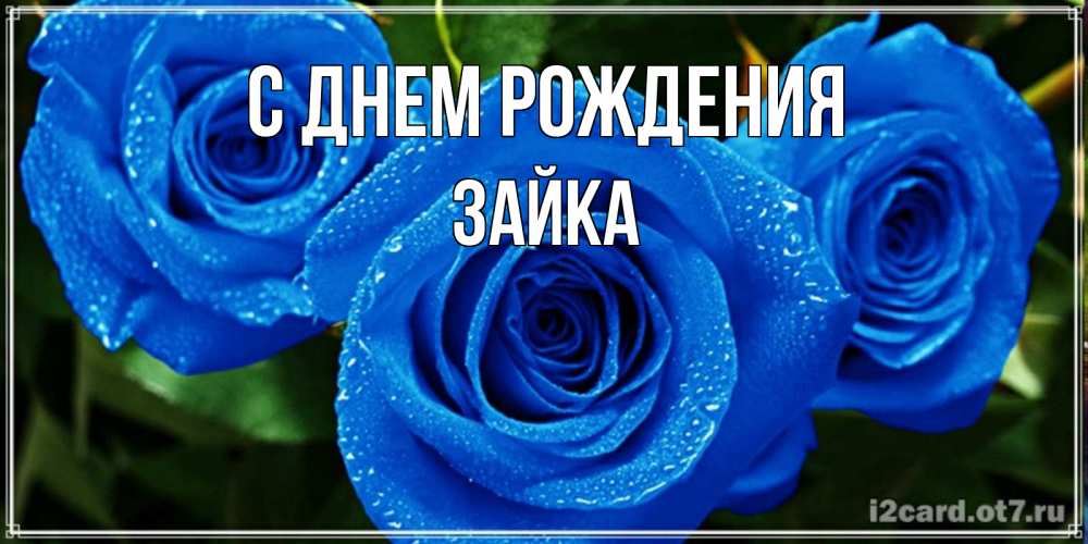 Открытка на каждый день с именем, зайка С днем рождения розы с синим цветом Прикольная открытка с пожеланием онлайн скачать бесплатно 
