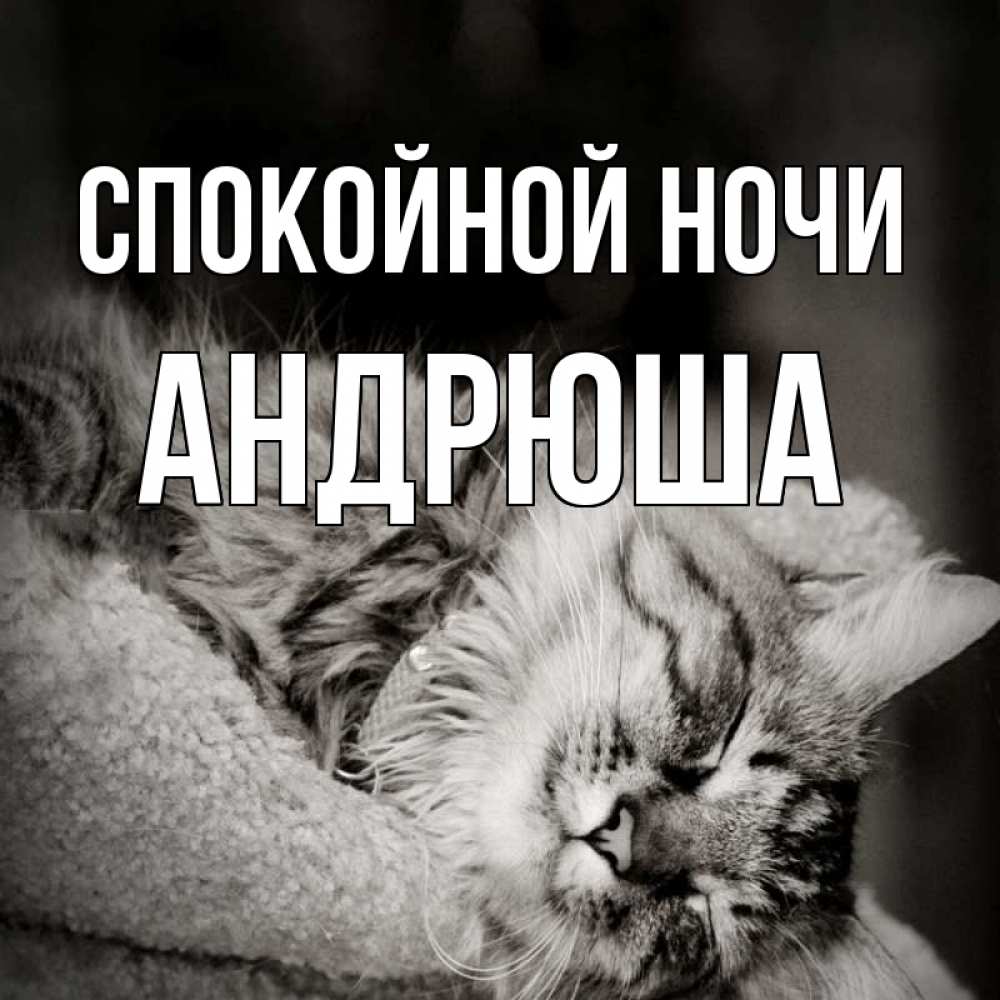 Андрюшка Спокойной Ночи