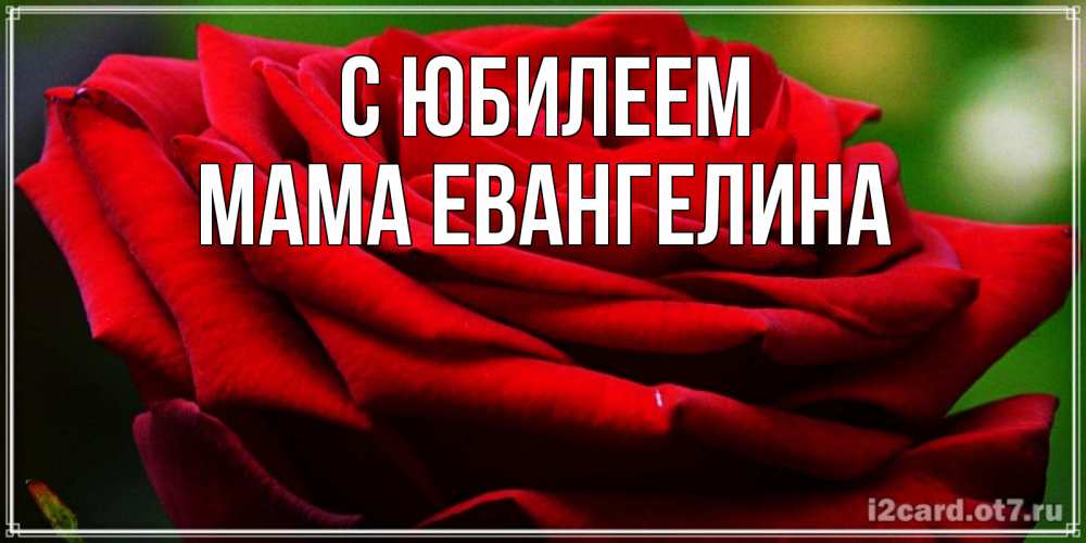 Открытка на каждый день с именем, Мама-Евангелина С юбилеем розочка очень красивая Прикольная открытка с пожеланием онлайн скачать бесплатно 