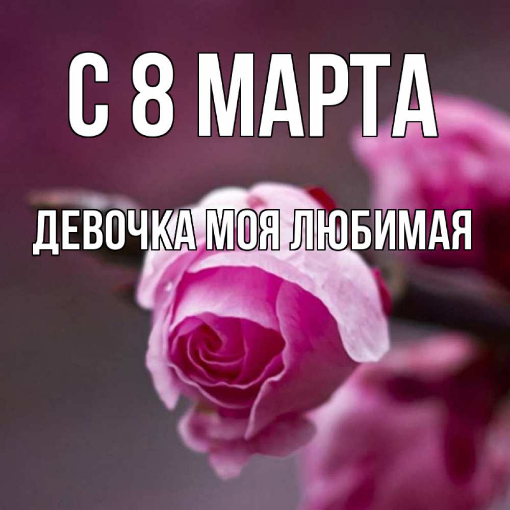 Открытка на каждый день с именем, Девочка-моя-любимая С 8 марта весна Прикольная открытка с пожеланием онлайн скачать бесплатно 