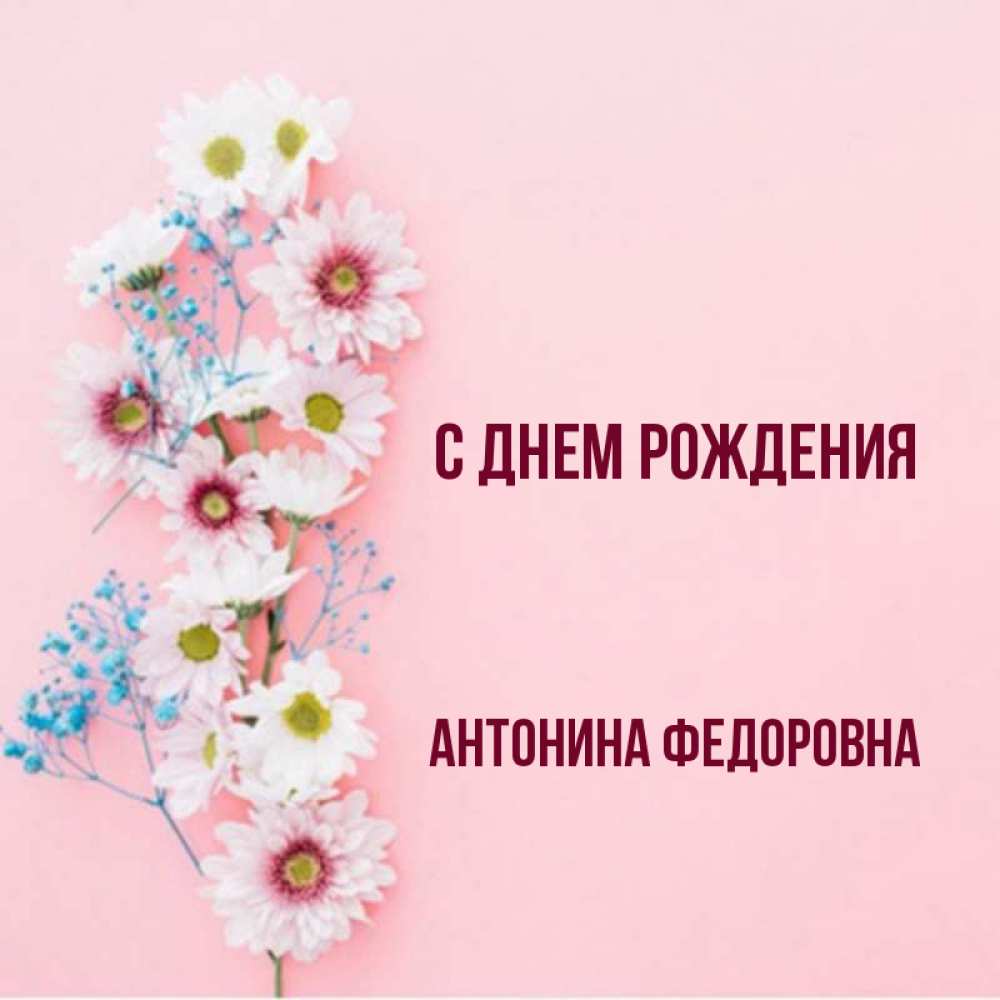 С Днем Рождения Антонина Картинки