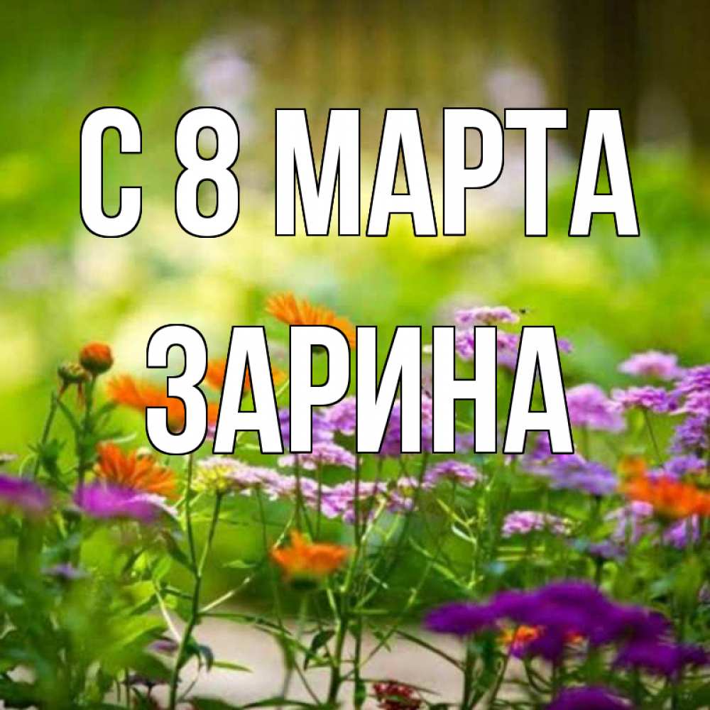 Открытка на каждый день с именем, Зарина С 8 МАРТА цветы Прикольная открытка с пожеланием онлайн скачать бесплатно 