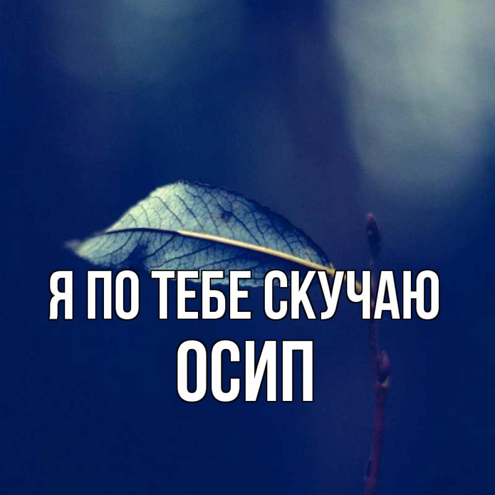 Открытка на каждый день с именем, Осип Я по тебе скучаю одна ветка 1 Прикольная открытка с пожеланием онлайн скачать бесплатно 
