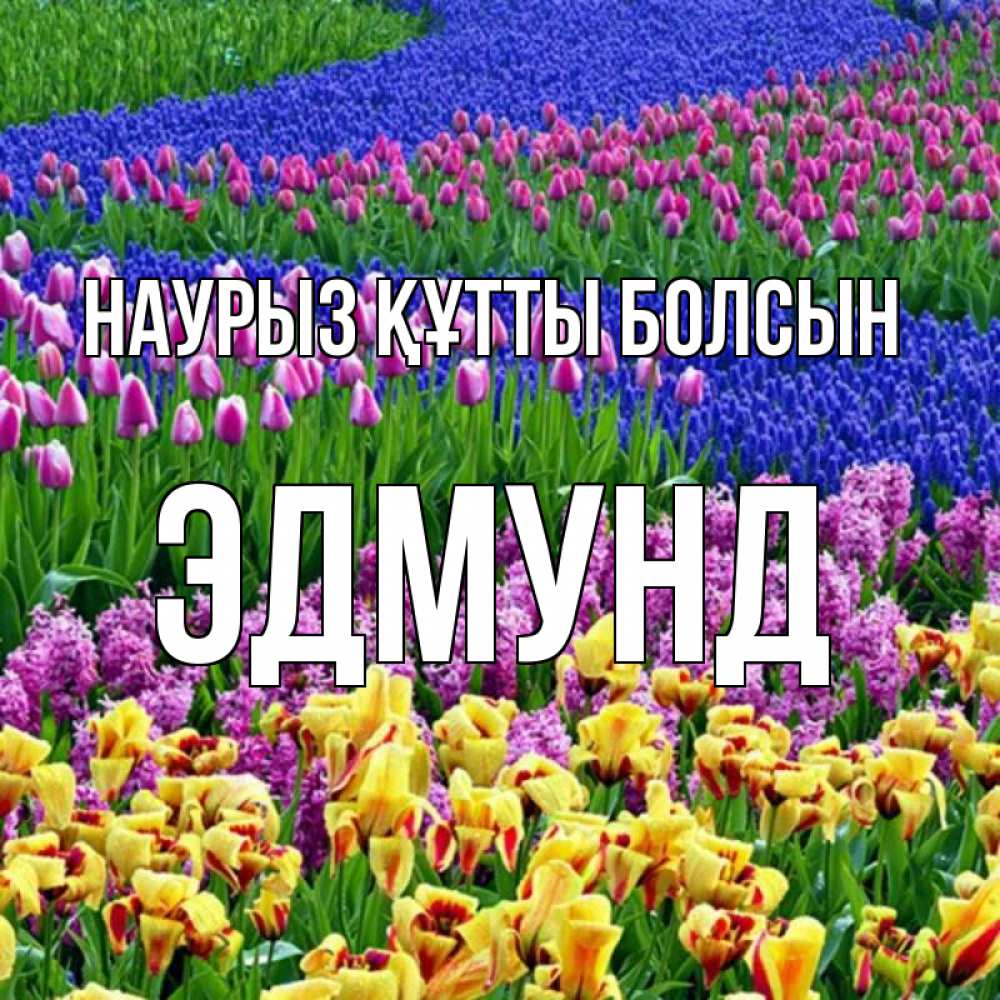 Открытка на каждый день с именем, Эдмунд Наурыз құтты болсын цветы Прикольная открытка с пожеланием онлайн скачать бесплатно 
