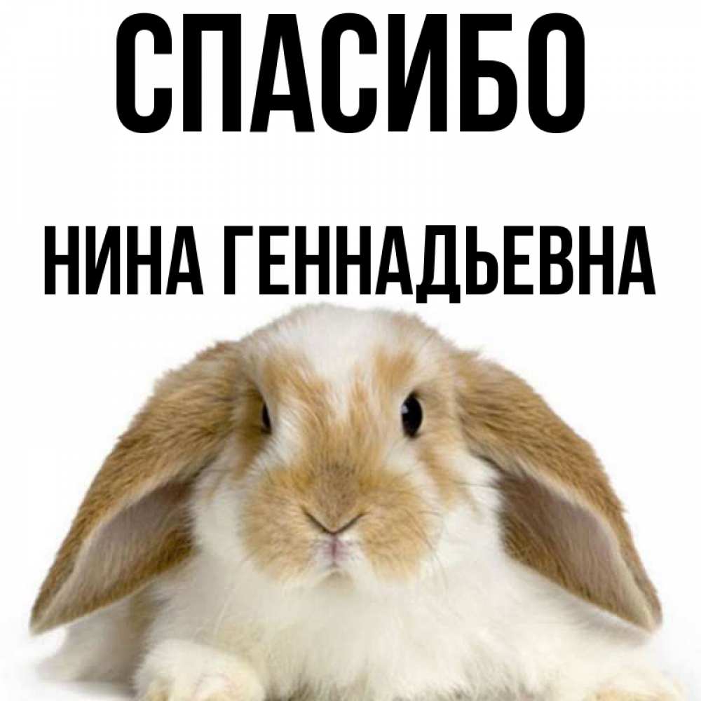 Картинки спасибо ниночка