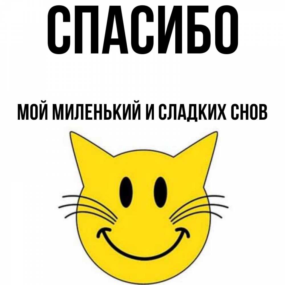 Ты мой маленький хорошенький мой котик