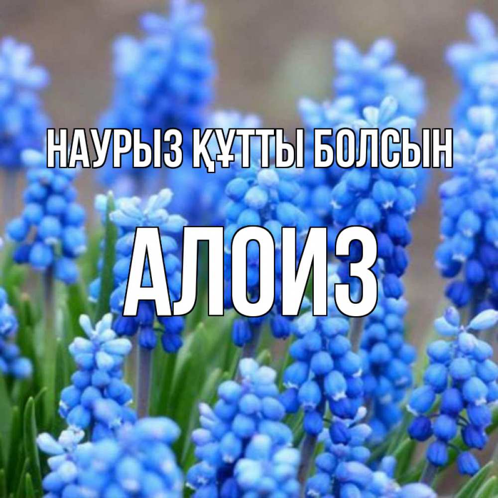 Открытка на каждый день с именем, Алоиз Наурыз құтты болсын Поздравительная открытка для женщин с цветами на праздничную дату Прикольная открытка с пожеланием онлайн скачать бесплатно 