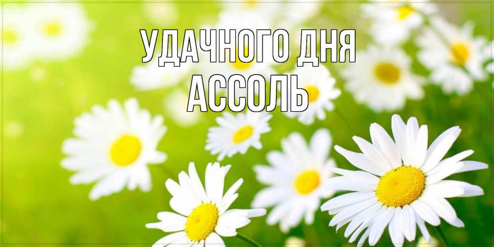Открытка на каждый день с именем, Ассоль Удачного дня открытка с ромашками на зеленом фоне Прикольная открытка с пожеланием онлайн скачать бесплатно 