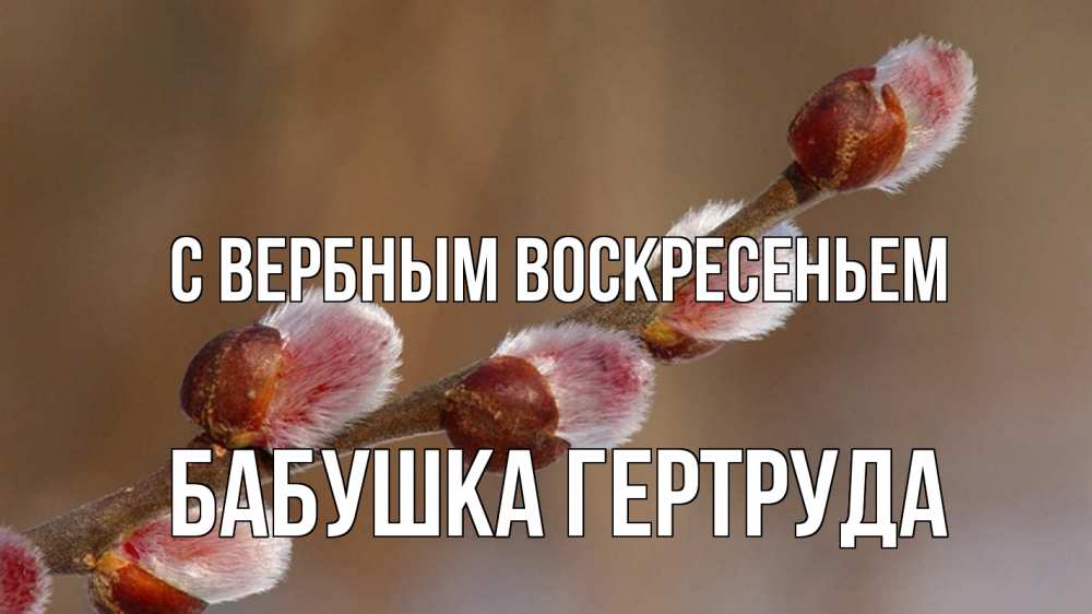 Открытка на каждый день с именем, Бабушка-Гертруда С вербным воскресеньем верба Прикольная открытка с пожеланием онлайн скачать бесплатно 
