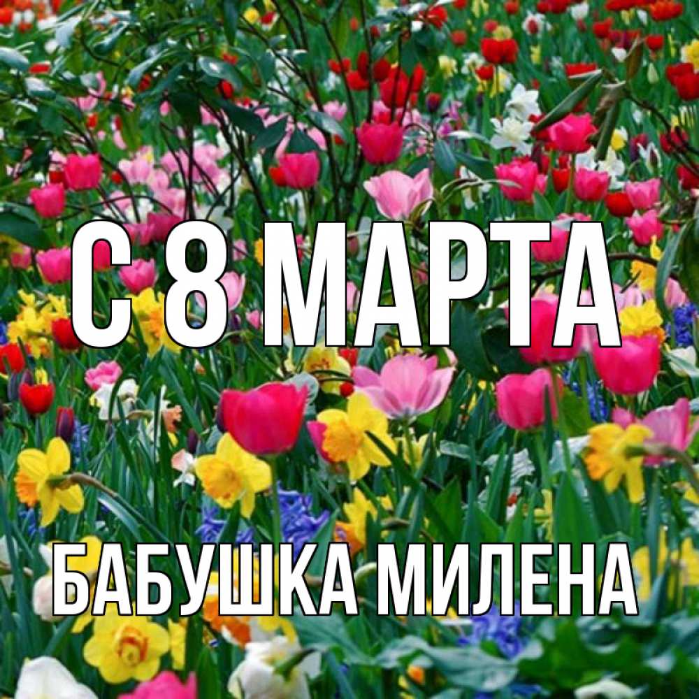 Открытка на каждый день с именем, Бабушка-Милена С 8 МАРТА с международным женским днем поздравления для женщины Прикольная открытка с пожеланием онлайн скачать бесплатно 
