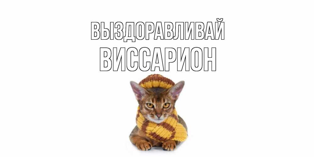 Открытка на каждый день с именем, Виссарион Выздоравливай родные не болейте Прикольная открытка с пожеланием онлайн скачать бесплатно 