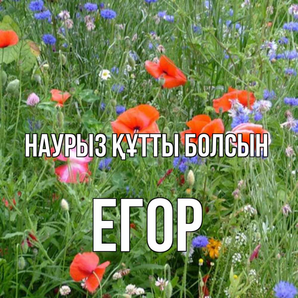 Открытка на каждый день с именем, Егор Наурыз құтты болсын наурыз  4 Прикольная открытка с пожеланием онлайн скачать бесплатно 