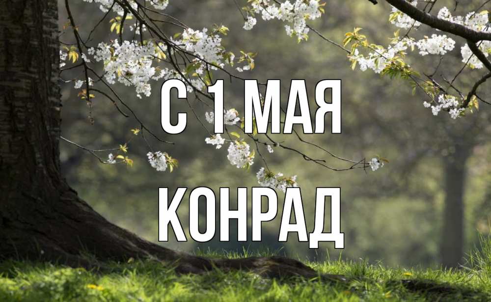 Открытка на каждый день с именем, Конрад С 1 мая С 1 мая Прикольная открытка с пожеланием онлайн скачать бесплатно 