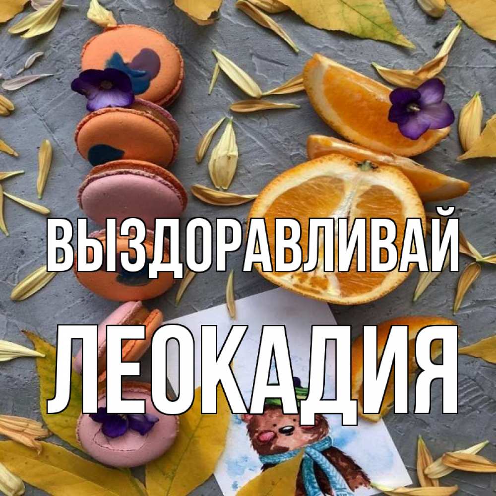 Открытка на каждый день с именем, Леокадия Выздоравливай не болейте Прикольная открытка с пожеланием онлайн скачать бесплатно 
