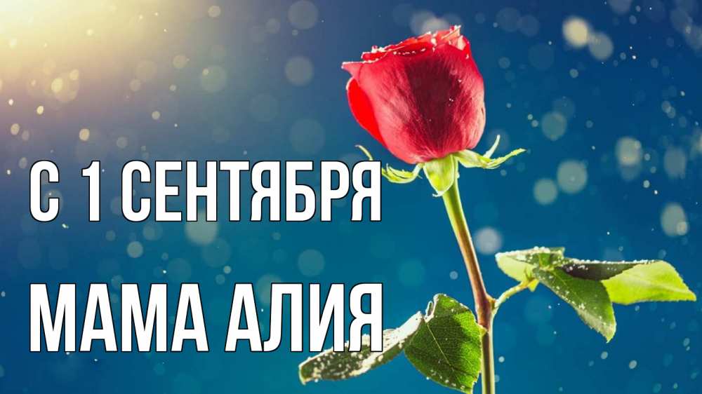 Открытка на каждый день с именем, Мама-Алия С 1 сентября с днем знаний Прикольная открытка с пожеланием онлайн скачать бесплатно 