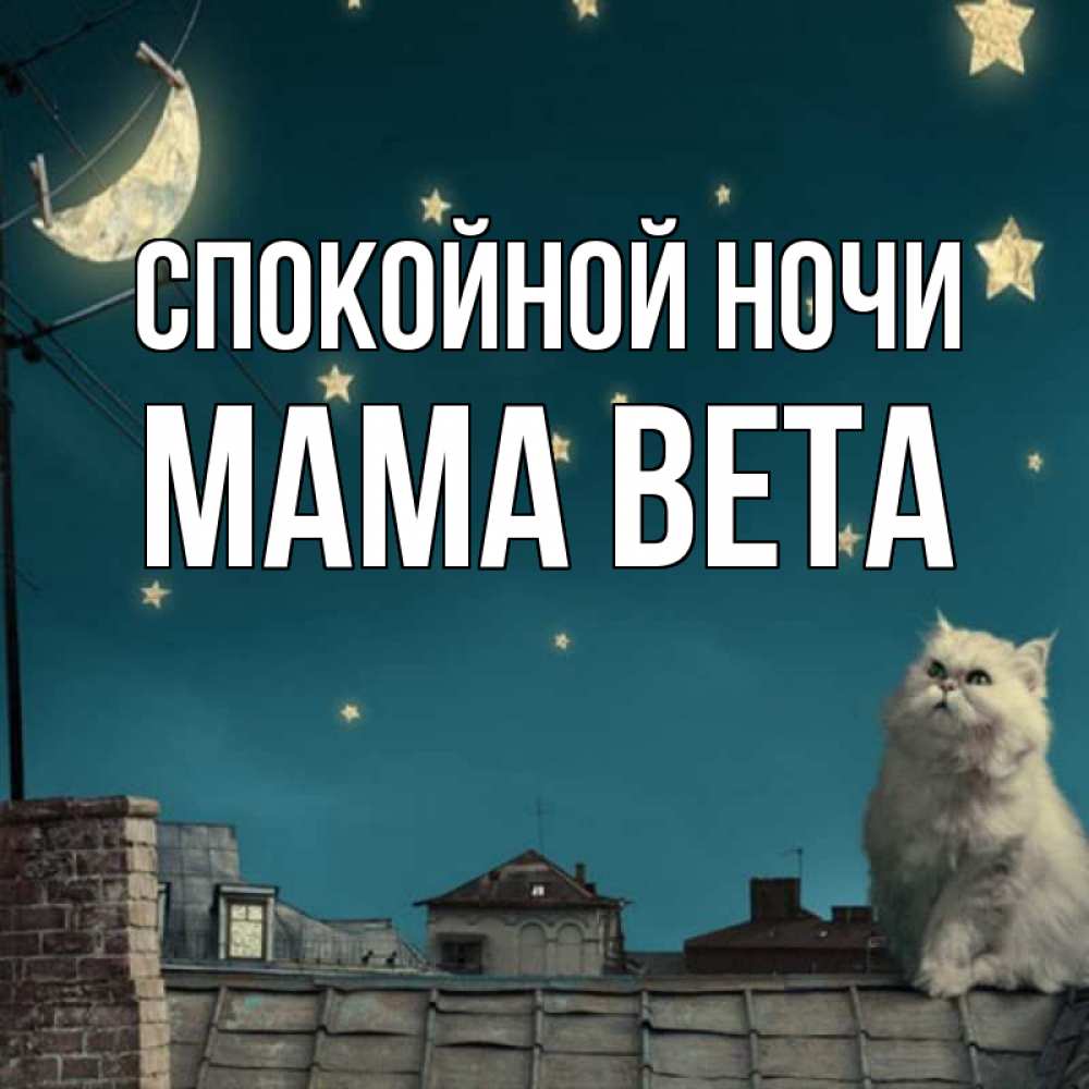 Открытка на каждый день с именем, Мама-Вета Спокойной ночи белый кот сидит на крыше Прикольная открытка с пожеланием онлайн скачать бесплатно 