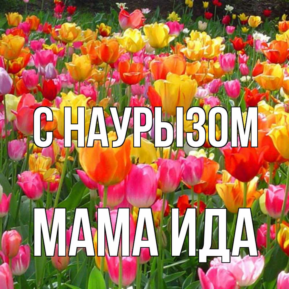 Открытка на каждый день с именем, Мама-Ида С наурызом праздник весны наурыз 4 Прикольная открытка с пожеланием онлайн скачать бесплатно 