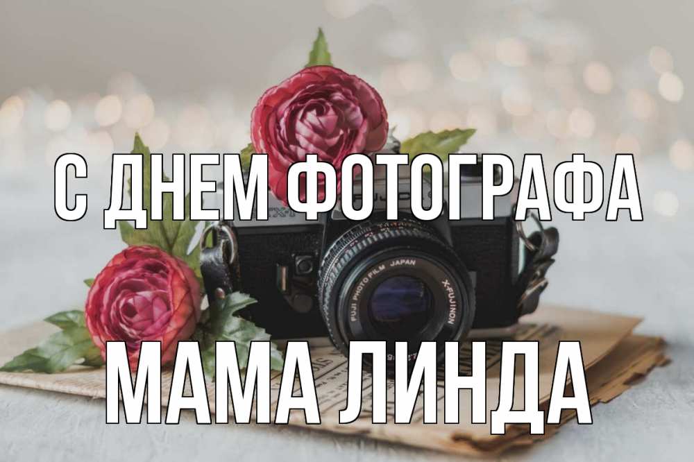 Открытка на каждый день с именем, Мама-Линда С днем фотографа с днем фотографа Прикольная открытка с пожеланием онлайн скачать бесплатно 