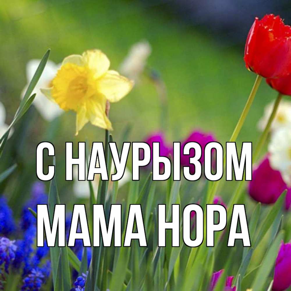 Открытка на каждый день с именем, Мама-Нора С наурызом праздник весны наурыз 3 Прикольная открытка с пожеланием онлайн скачать бесплатно 