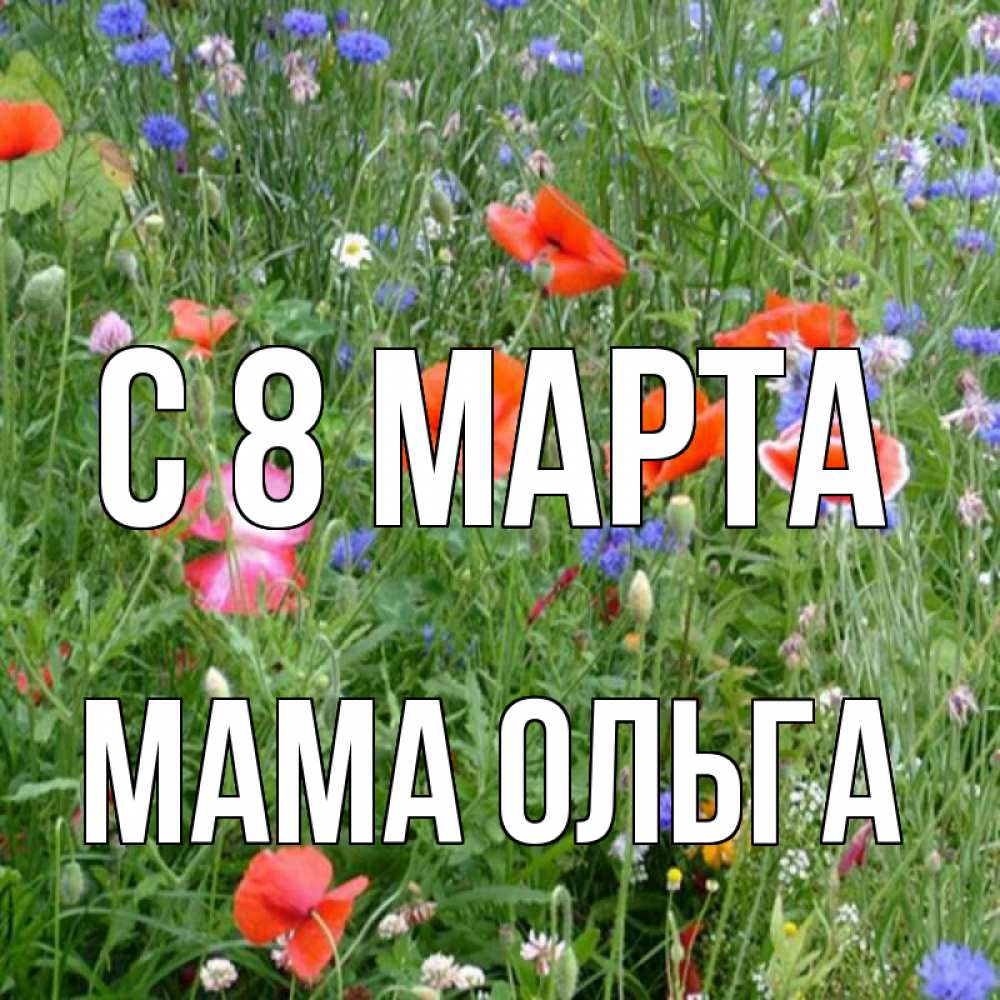 Открытка на каждый день с именем, Мама-Ольга С 8 МАРТА международный женский день 4 Прикольная открытка с пожеланием онлайн скачать бесплатно 