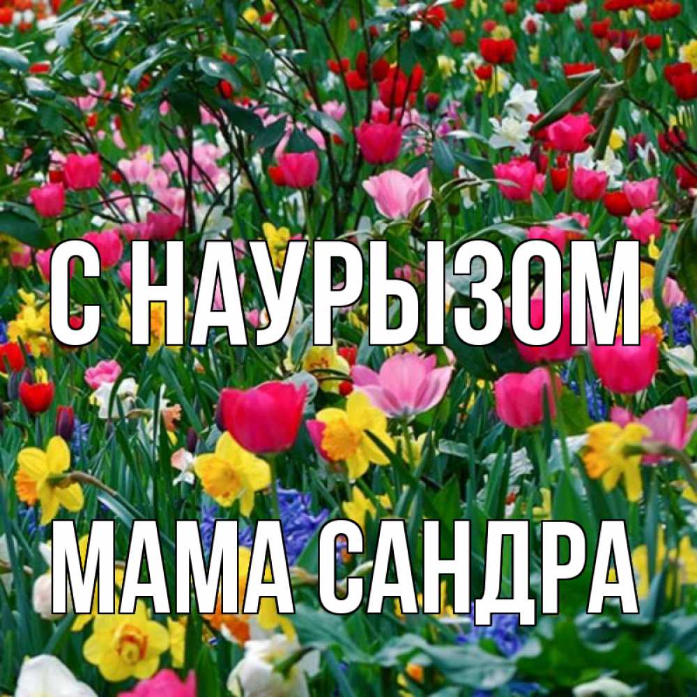 Открытка на каждый день с именем, Мама-Сандра С наурызом с наурызом праздником весны поздравления для женщины Прикольная открытка с пожеланием онлайн скачать бесплатно 