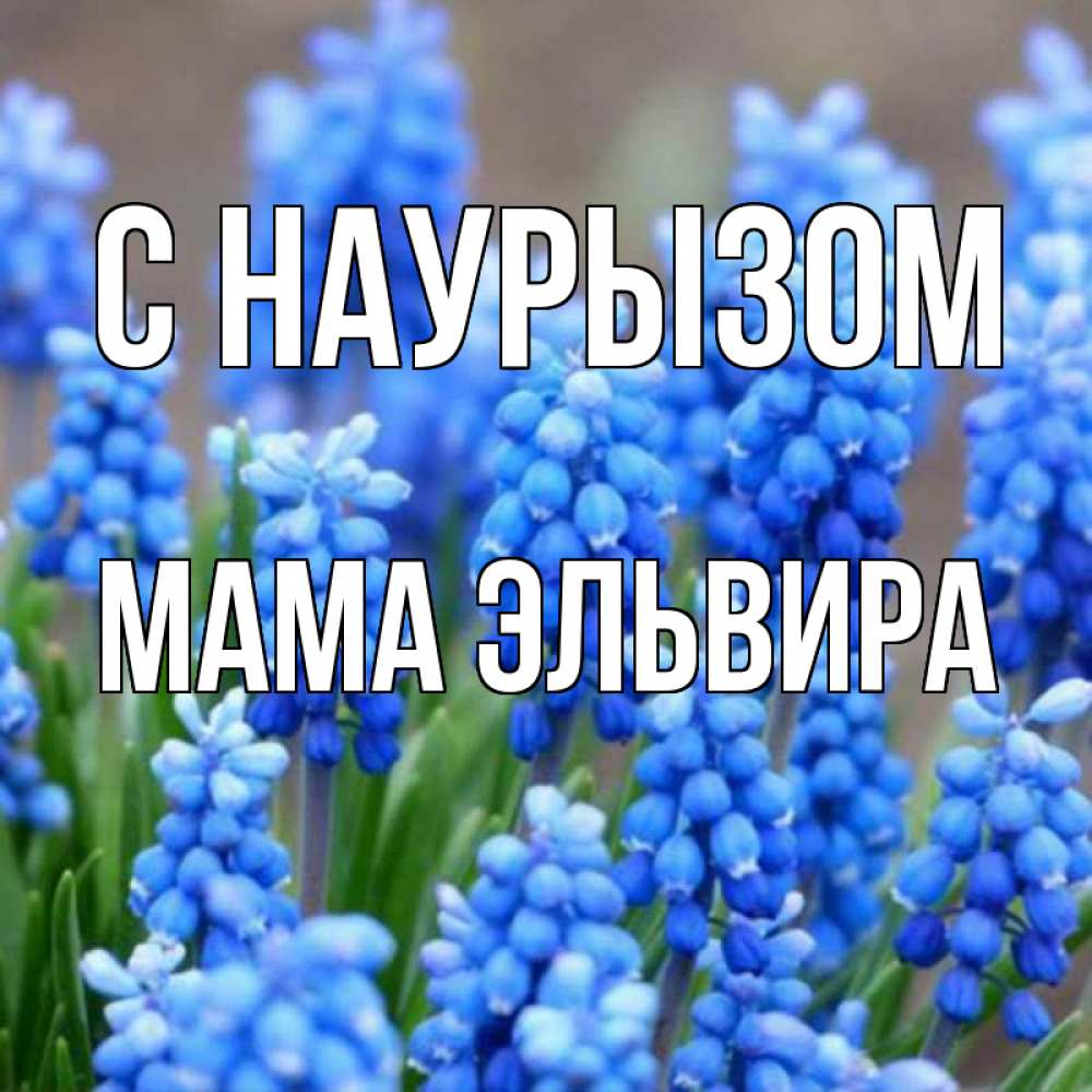 Открытка на каждый день с именем, Мама-Эльвира С наурызом Поздравительная открытка для женщин с цветами на праздничную дату Прикольная открытка с пожеланием онлайн скачать бесплатно 