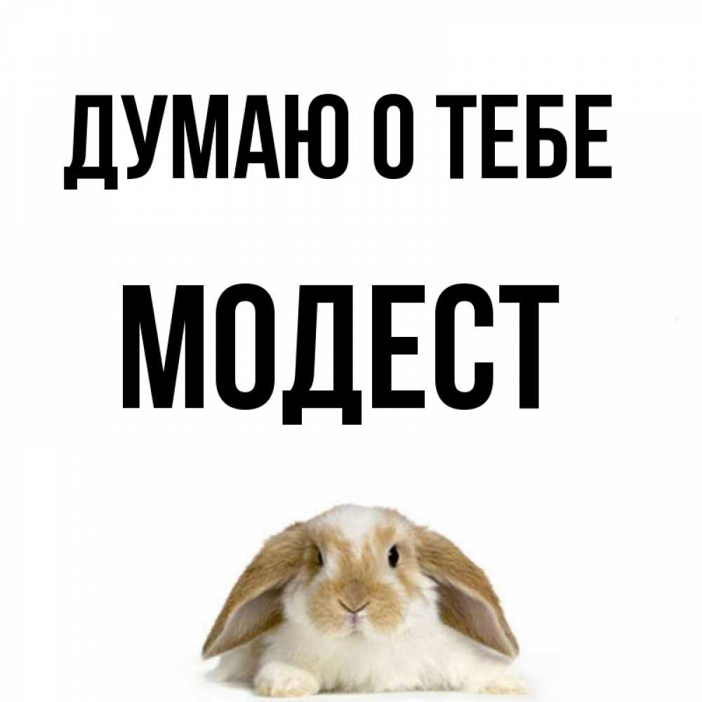 Открытка на каждый день с именем, Модест Думаю о тебе подписать своими руками онлайн Прикольная открытка с пожеланием онлайн скачать бесплатно 