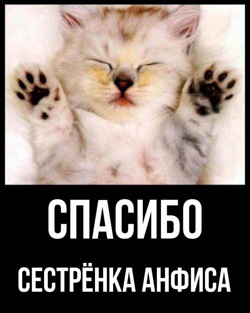 Открытка на каждый день с именем, Сестрёнка-Анфиса Спасибо маленький котенок Прикольная открытка с пожеланием онлайн скачать бесплатно 