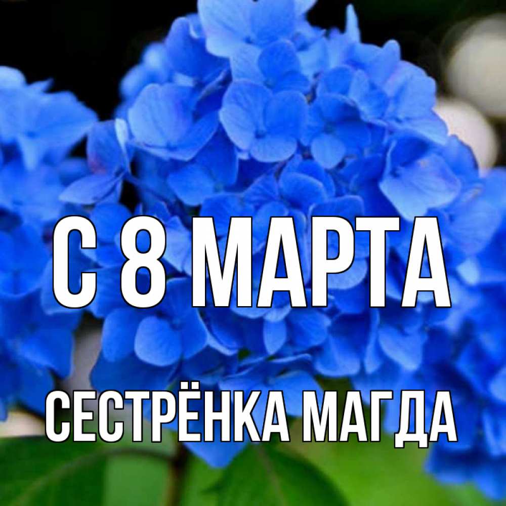 Открытка на каждый день с именем, Сестрёнка-Магда С 8 марта синие цветы Прикольная открытка с пожеланием онлайн скачать бесплатно 