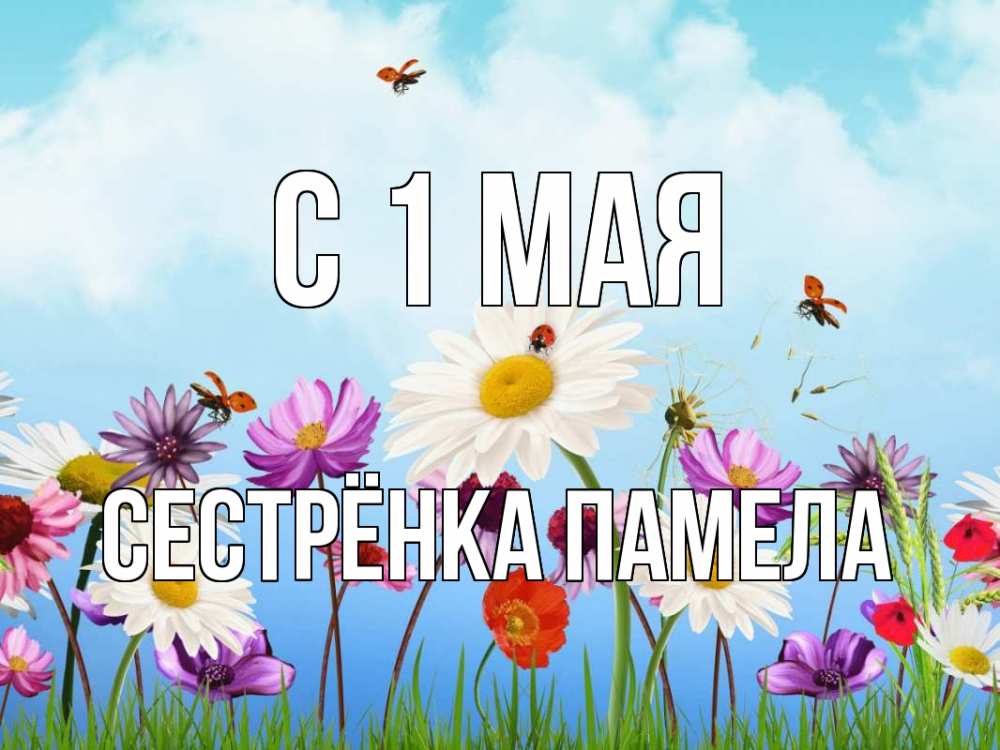 Открытка на каждый день с именем, Сестрёнка-Памела С 1 мая С 1 мая Прикольная открытка с пожеланием онлайн скачать бесплатно 