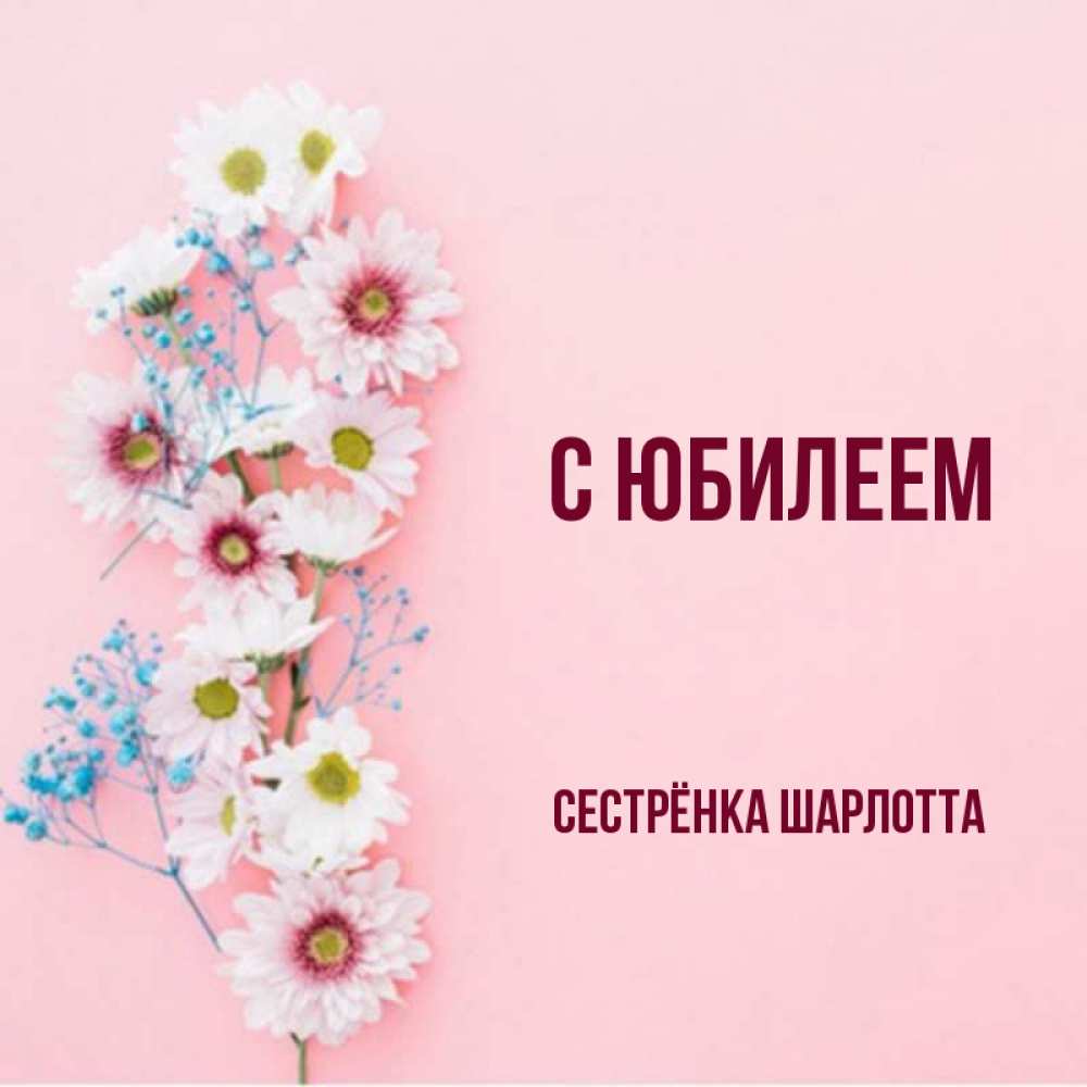 Открытка на каждый день с именем, Сестрёнка-Шарлотта С юбилеем Родная моя с днем рождения тебя картинка с цветами белыми и голубыми Прикольная открытка с пожеланием онлайн скачать бесплатно 