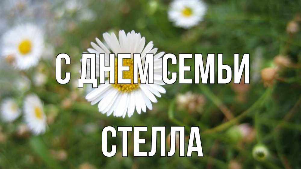 Открытка на каждый день с именем, Стелла С днем семьи с днем семьи Прикольная открытка с пожеланием онлайн скачать бесплатно 
