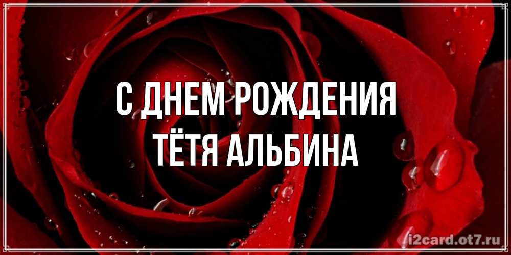 Открытка на каждый день с именем, Тётя-Альбина С днем рождения крупная бордовая роза Прикольная открытка с пожеланием онлайн скачать бесплатно 