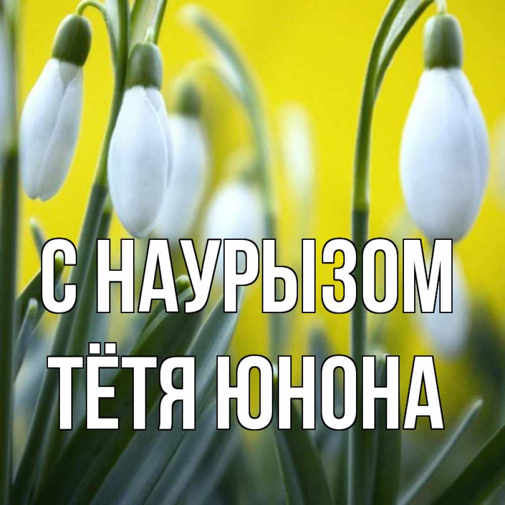 Открытка на каждый день с именем, Тётя-Юнона С наурызом весенние цветы Прикольная открытка с пожеланием онлайн скачать бесплатно 