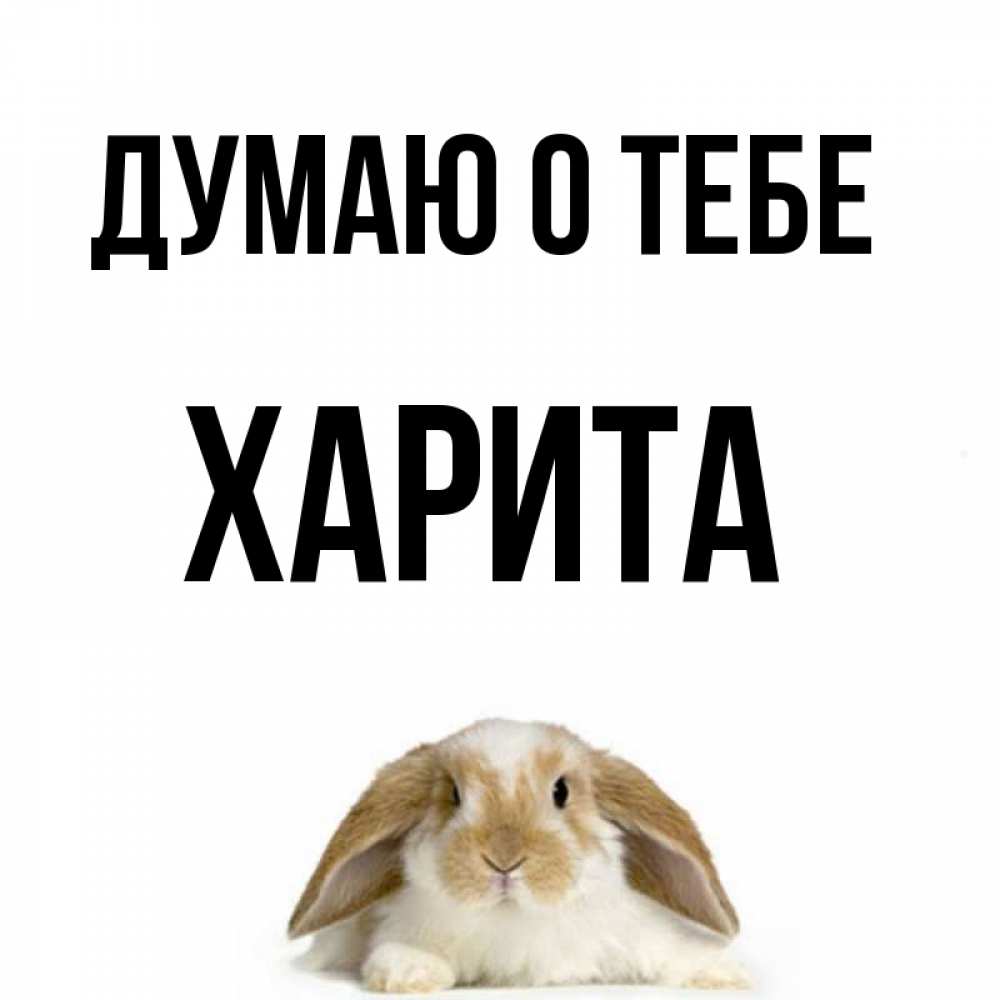 Открытка на каждый день с именем, Харита Думаю о тебе подписать своими руками онлайн Прикольная открытка с пожеланием онлайн скачать бесплатно 