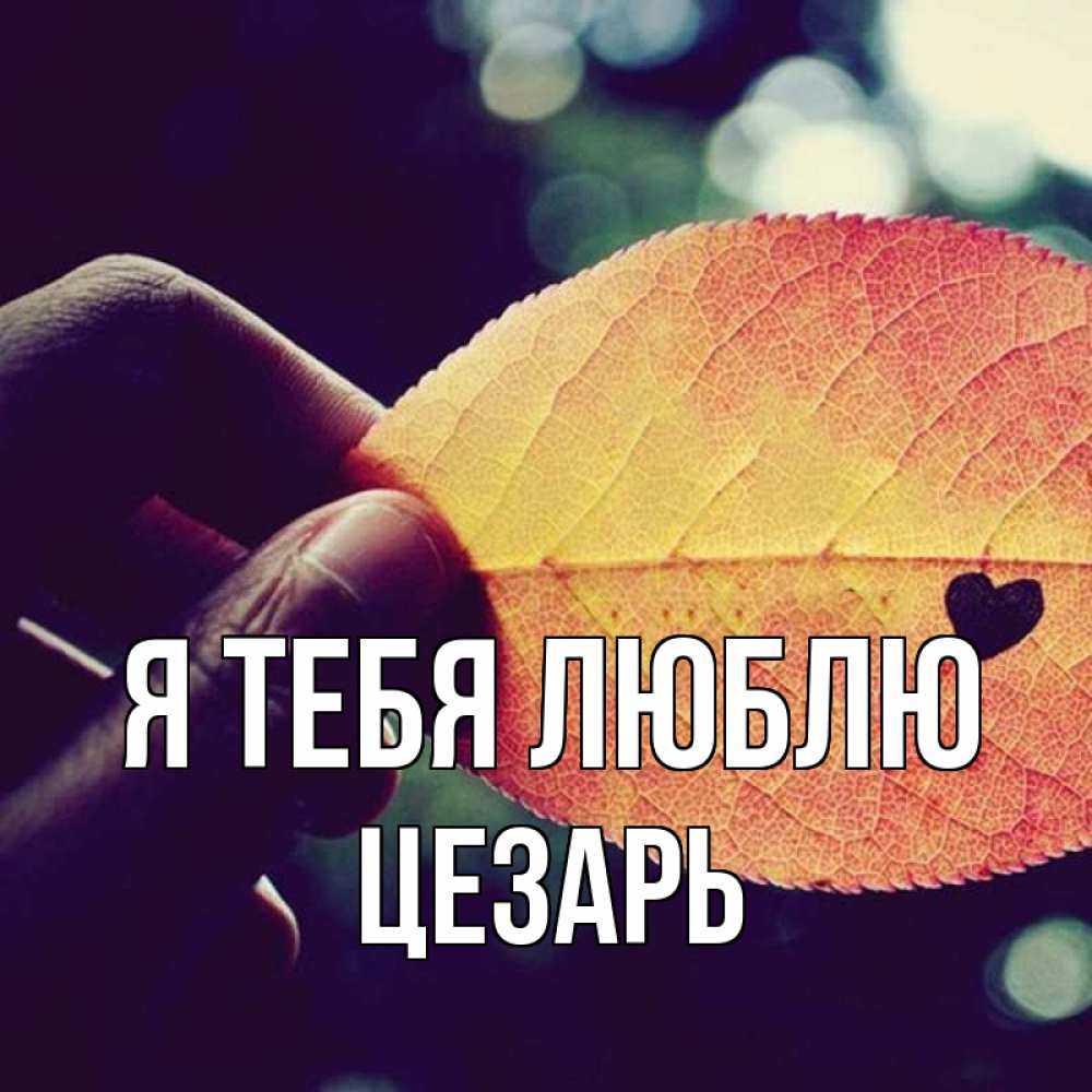 Открытка на каждый день с именем, Цезарь Я тебя люблю держу лист Прикольная открытка с пожеланием онлайн скачать бесплатно 