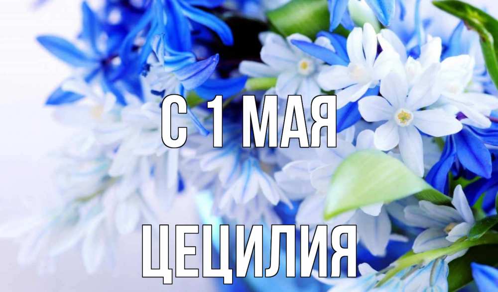 Открытка на каждый день с именем, Цецилия С 1 мая С 1 мая Прикольная открытка с пожеланием онлайн скачать бесплатно 