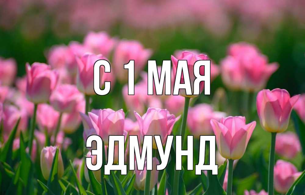 Открытка на каждый день с именем, Эдмунд С 1 мая С 1 мая Прикольная открытка с пожеланием онлайн скачать бесплатно 