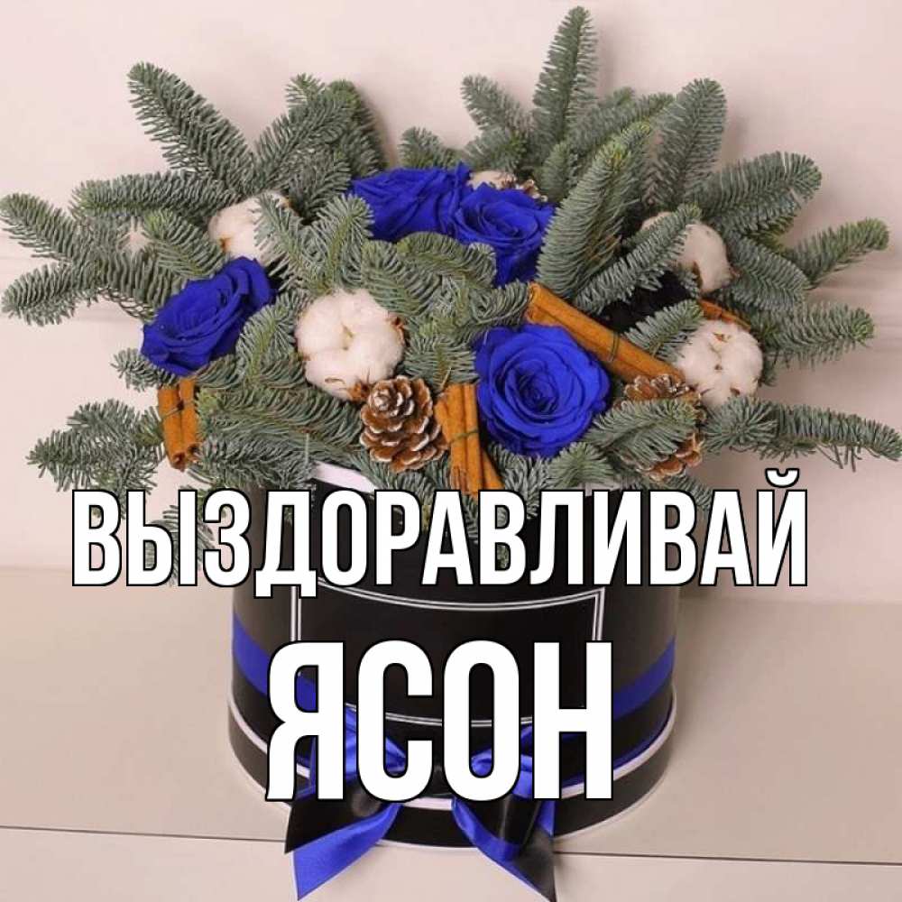 Открытка на каждый день с именем, Ясон Выздоравливай короче кто то загрузил эти шишки Прикольная открытка с пожеланием онлайн скачать бесплатно 