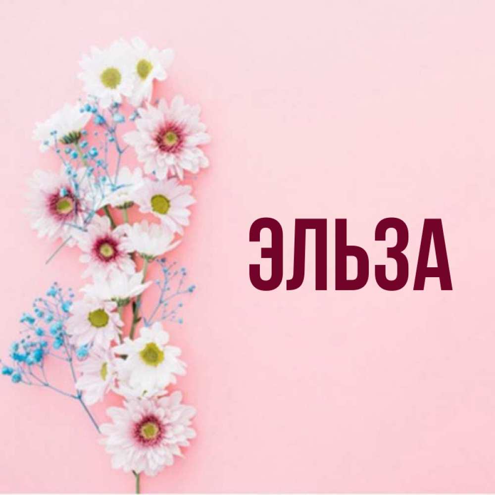 Картинка  с именем , Эльза