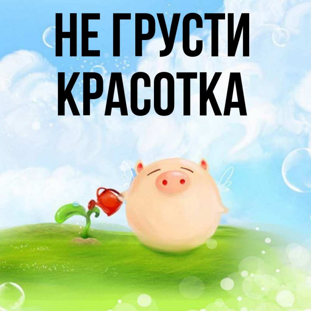 Открытка на каждый день с именем, красотка Не грусти поливает цветок порося Прикольная открытка с пожеланием онлайн скачать бесплатно 