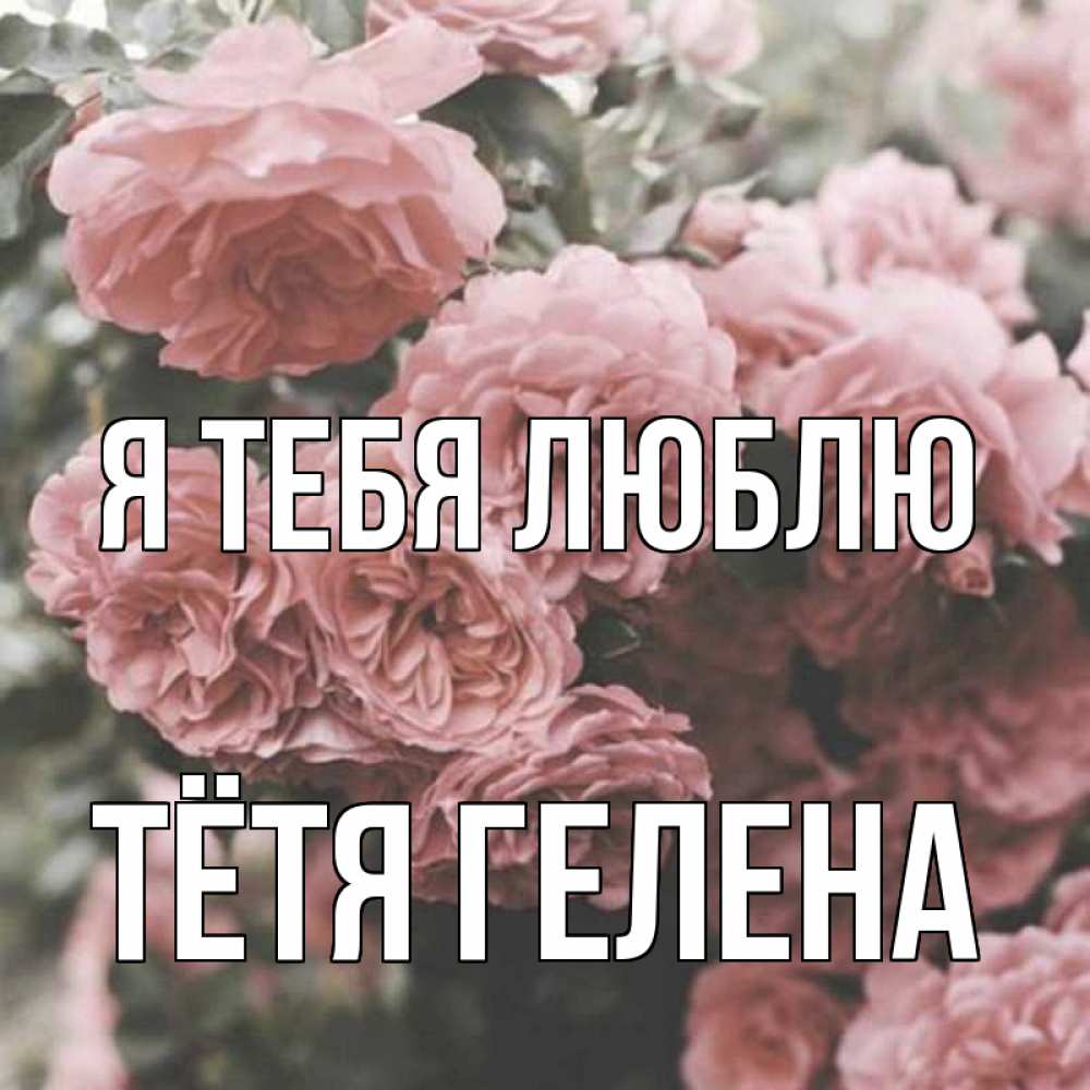 Открытка на каждый день с именем, Тётя-Гелена Я тебя люблю розы 3 Прикольная открытка с пожеланием онлайн скачать бесплатно 