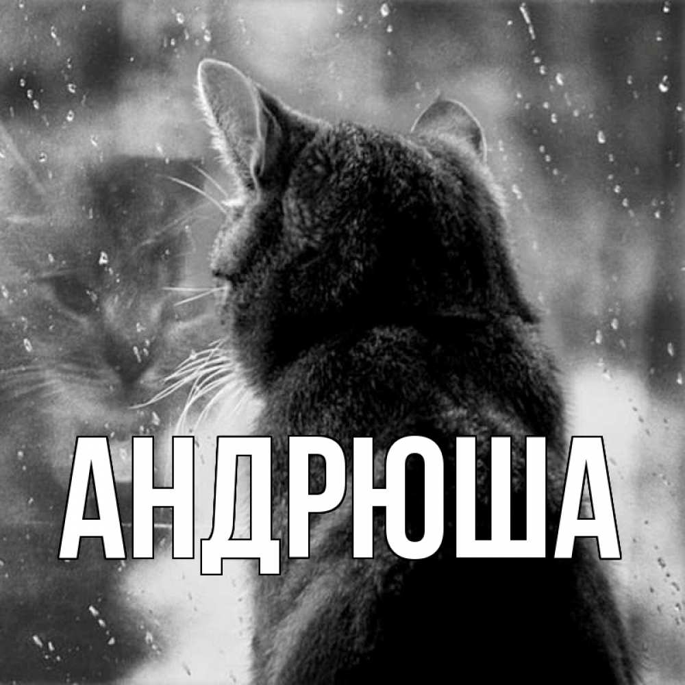 картинки с именем андрюшка найти выход нестандартной