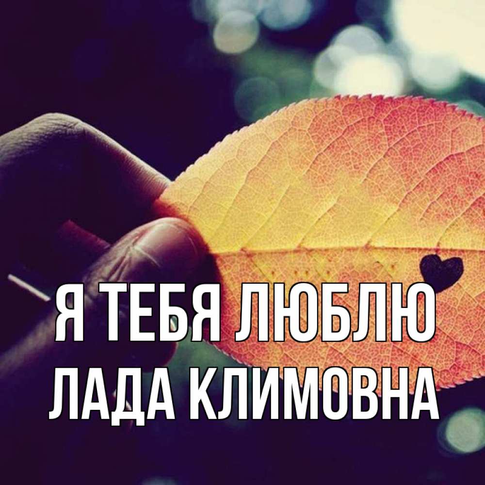 Картинка Я тебя люблю, Лада Климовна