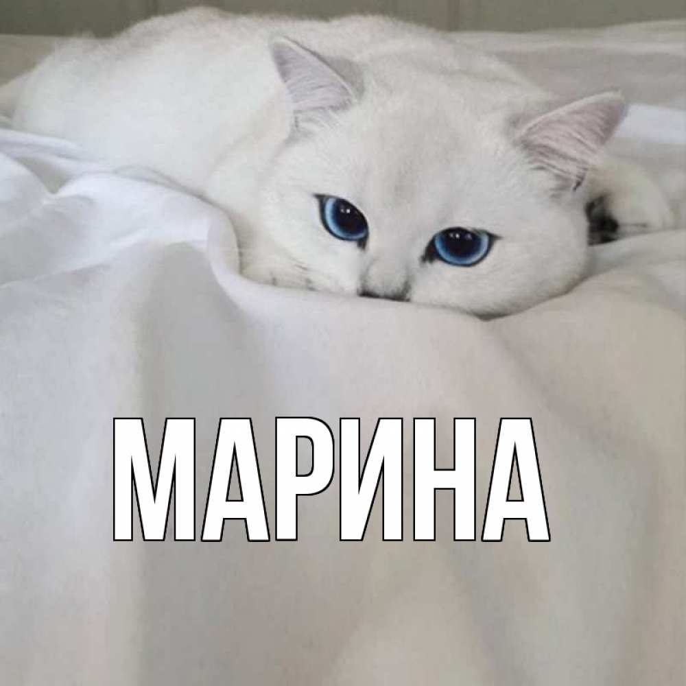 Открытка на каждый день с именем, Марина Главная я очень по тебе скучаю и тоскую Прикольная открытка с пожеланием онлайн скачать бесплатно 