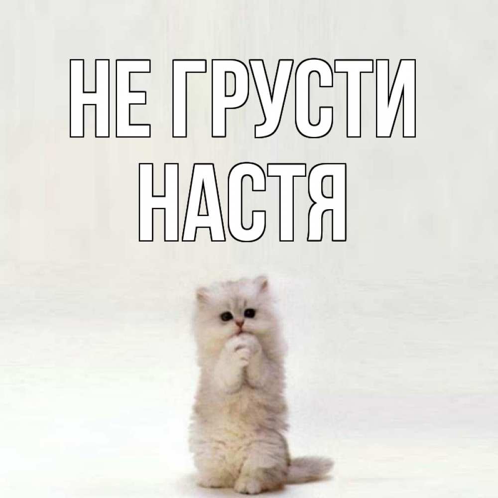 Открытка на каждый день с именем, настя Не грусти грустный кот Прикольная открытка с пожеланием онлайн скачать бесплатно 