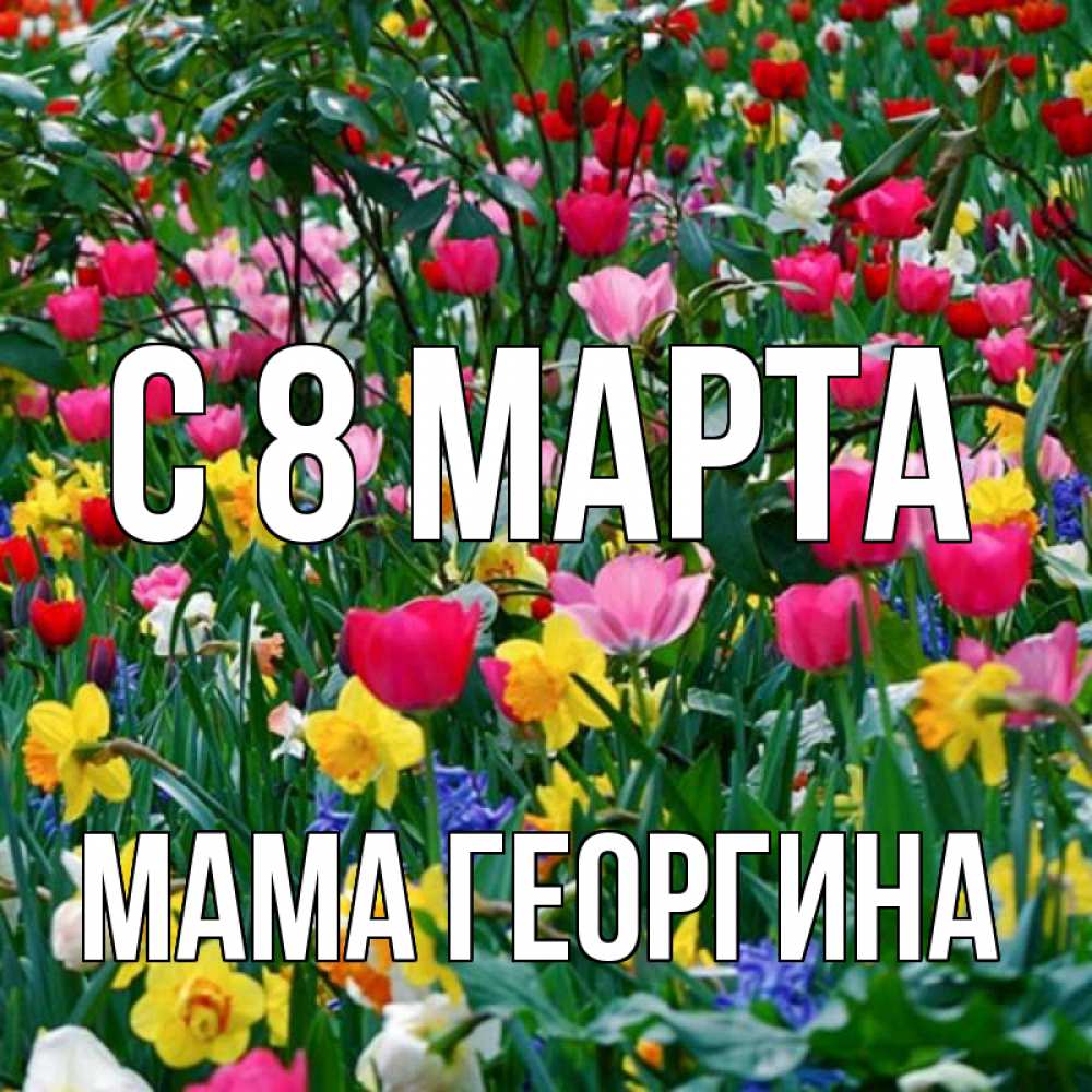 Открытка на каждый день с именем, Мама-Георгина С 8 марта с международным женским днем поздравления для женщины Прикольная открытка с пожеланием онлайн скачать бесплатно 